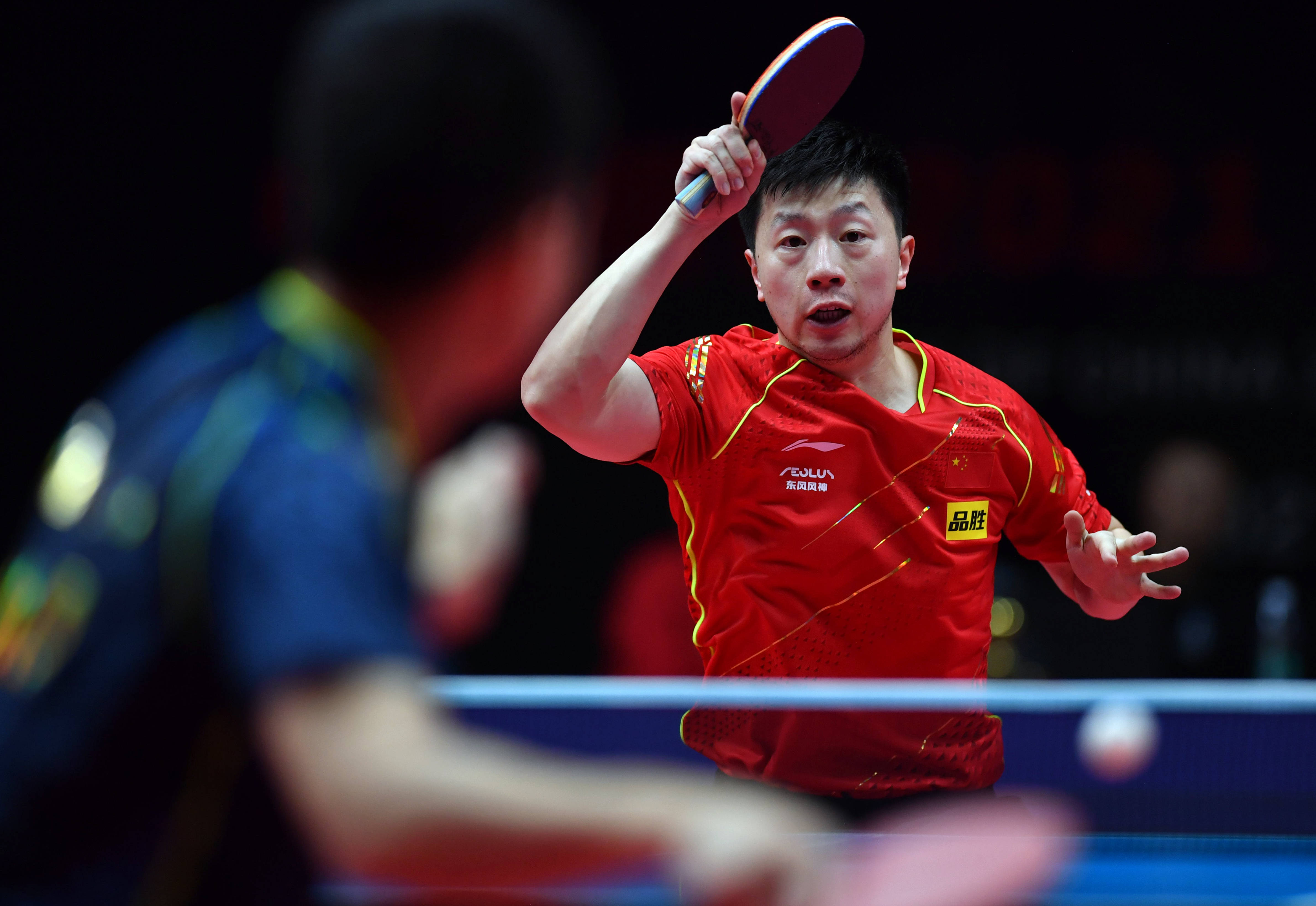 个特定的体 个特定的体